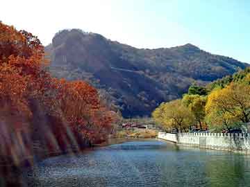 正版澳门天天开彩大全，大民国